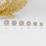 Iced Out Silver Moissanite Cluster Stud Earring For Women